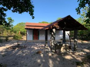 Canto dos passaros